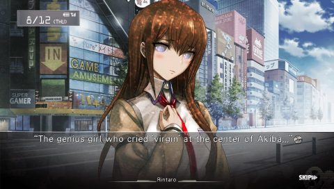 steins gate game