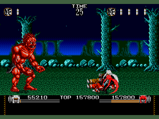 mystical fighter mega drive